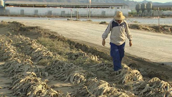 Telediario 1 - Daños materiales por los temporales