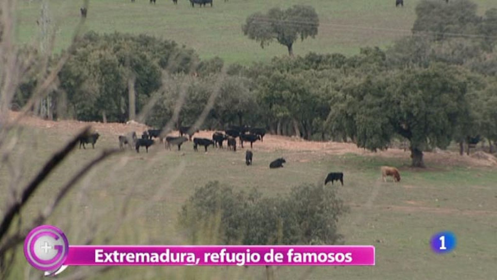 Más Gente - Visitamos la Extremadura que cautiva a los famosos