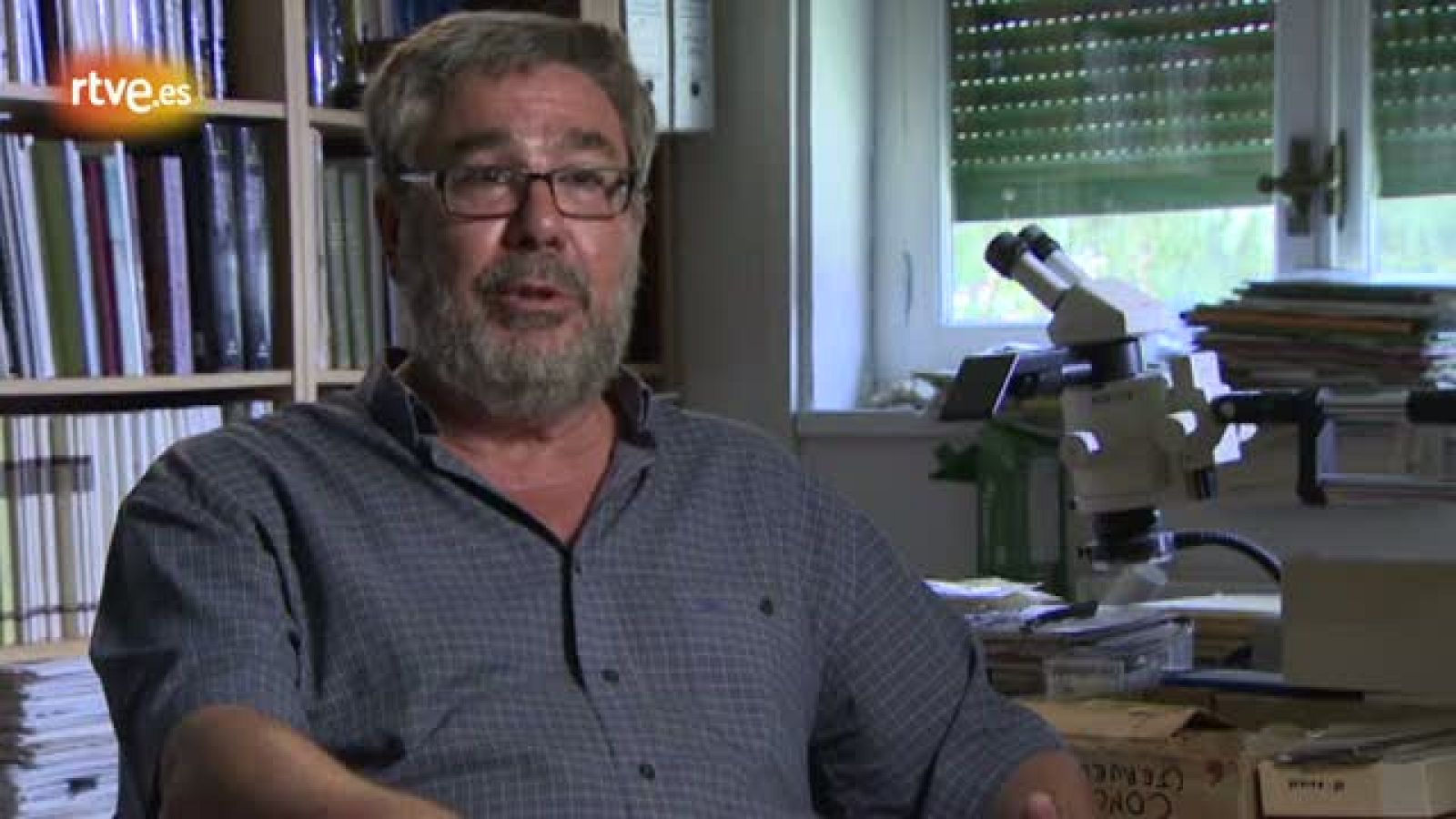 La excepcionalidad de Batallones - Crónicas | Ver