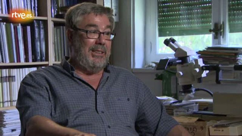 Jorge Morales, desmitificando el trabajo del paleontólogo