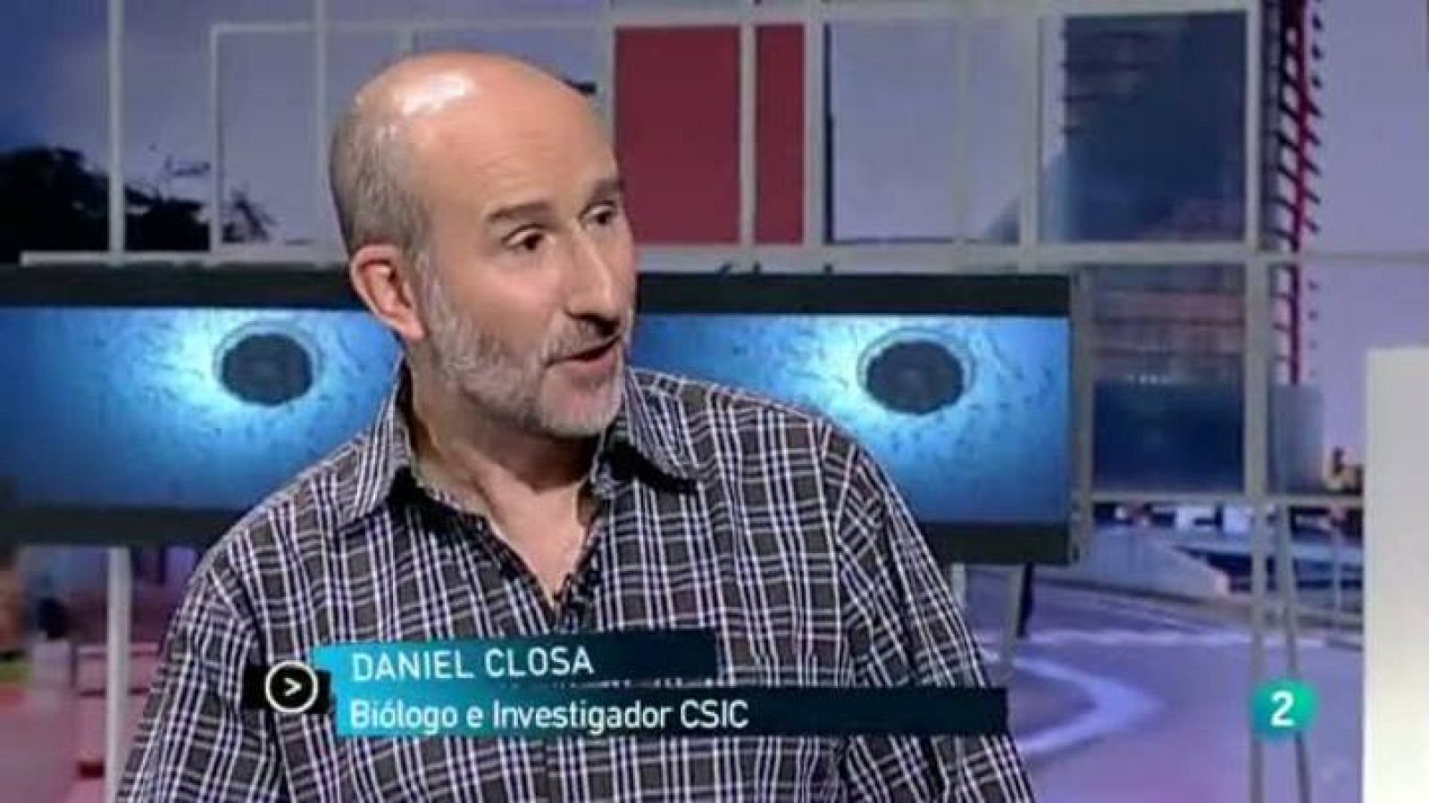 Para todos La 2 - Ciencia: El ser vivo más viejo