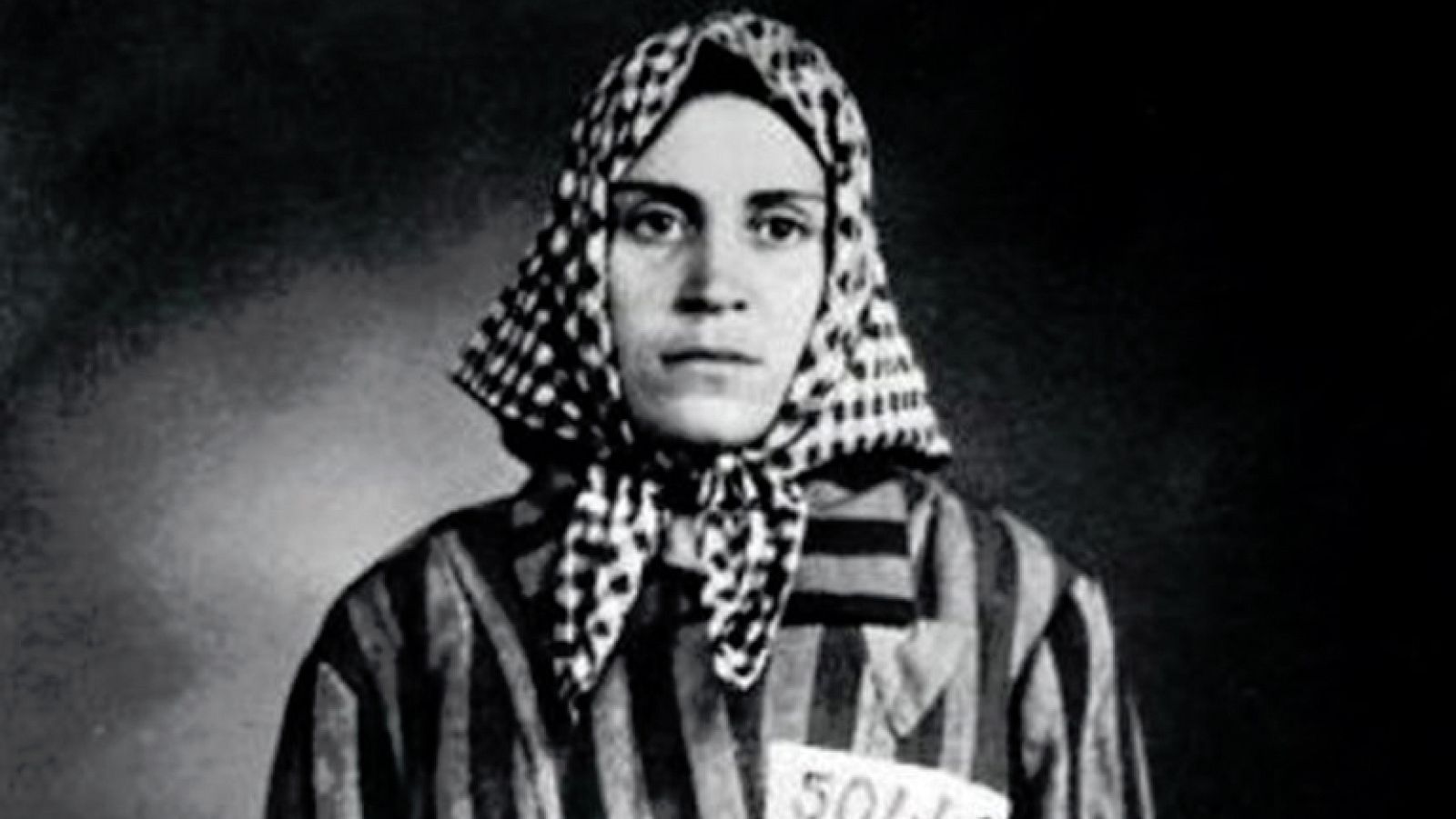 La noche temática - Bajo todas las banderas. Españoles en la Segunda Guerra Mundial. Primera parte: Campos de resistencia - ver ahora