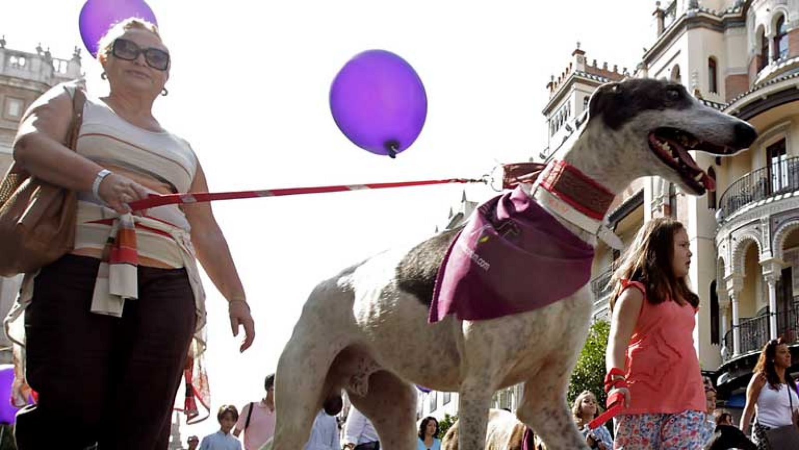 Salón de la Adopción de Animales de compañía