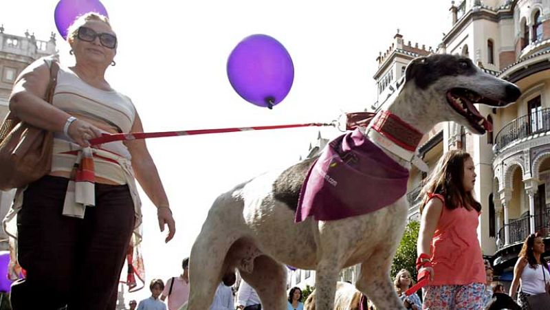 Salón de la Adopción de Animales de compañía