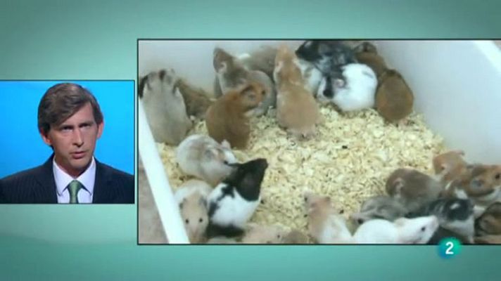 Fábrica de ideas - Invierte: Xaraleira