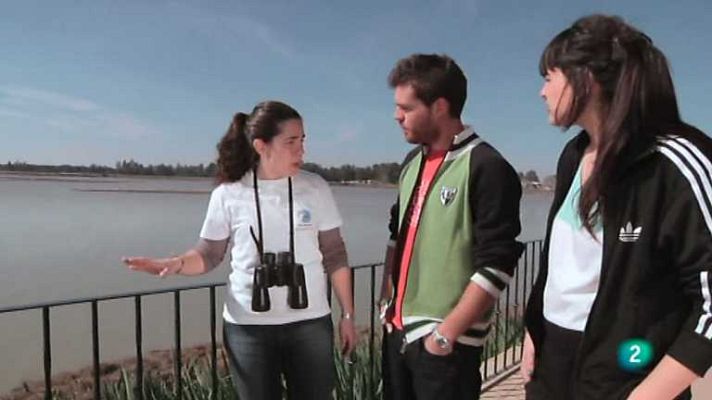 La aventura del Saber - La aventura del saber - 08/10/12