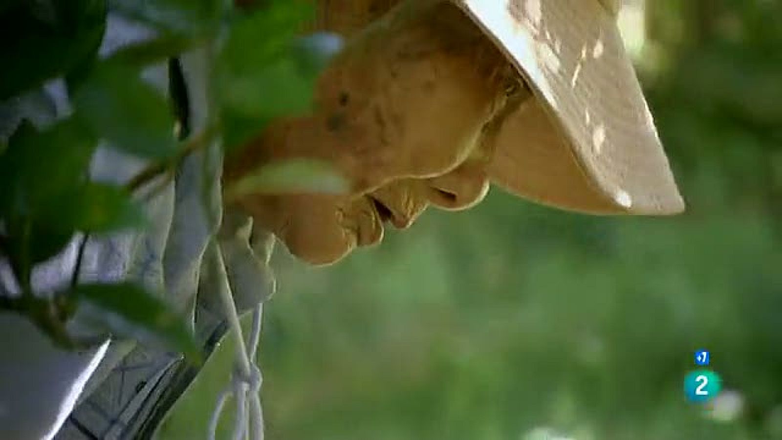 Documentos TV - El misterio de los centenarios - primeros minutos - Documentos TV | Ver