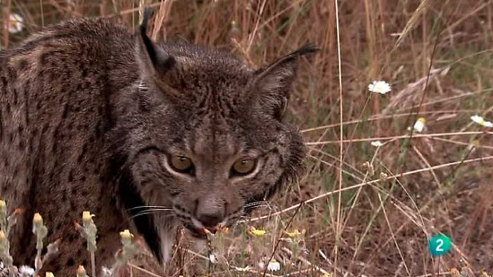 Biodiario - Biodiario - 10/10/12