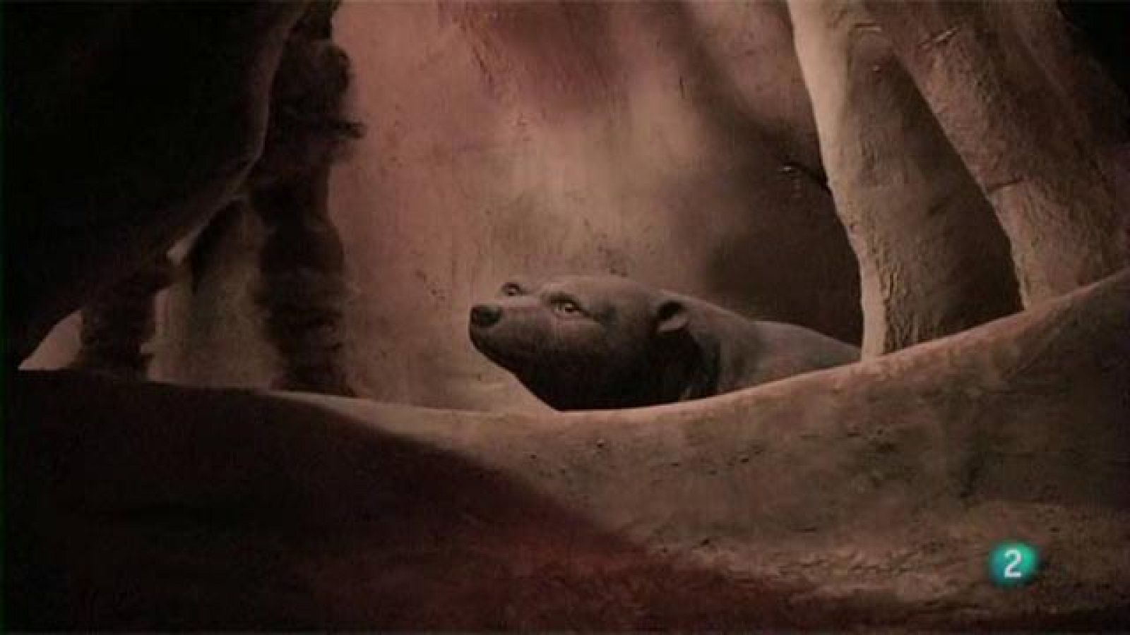 "La Prehistòria a Moià"