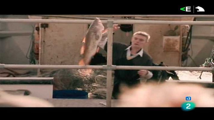 La Casa Encendida - La casa encendida - 11/10/12