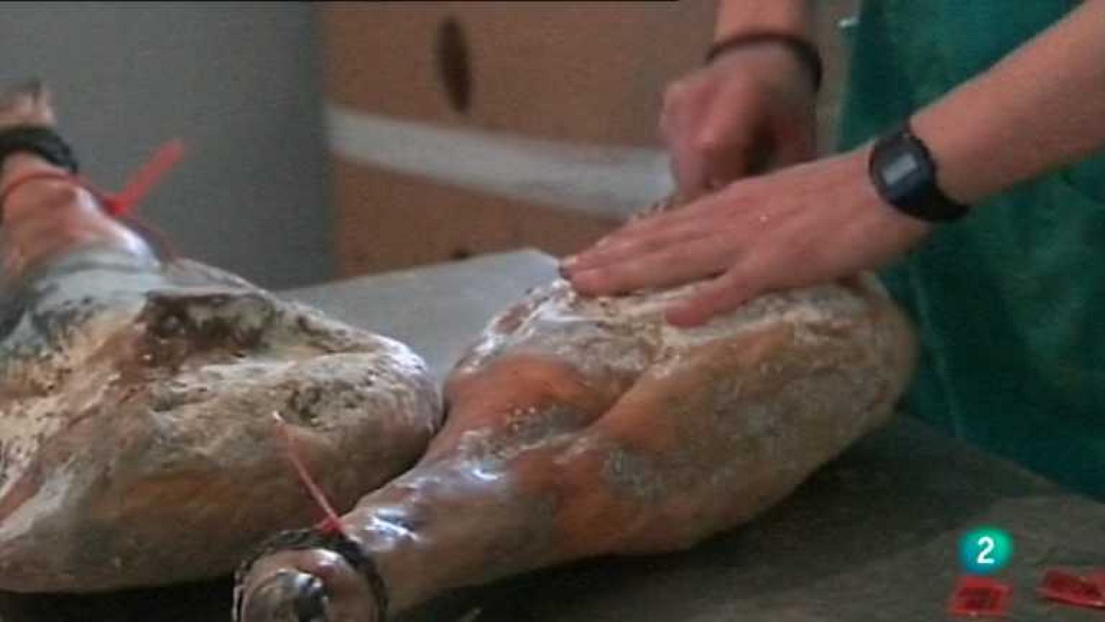 Agrosfera - 13/10/12 - ver ahora