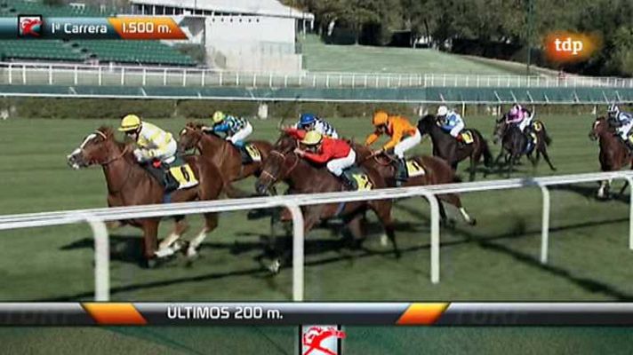 Turf - Turf - 14/10/12