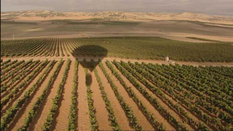 Turismo enológico desde el aire