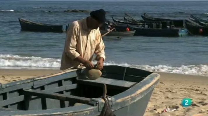 Para todos La 2 - Cooperativas alimentarias