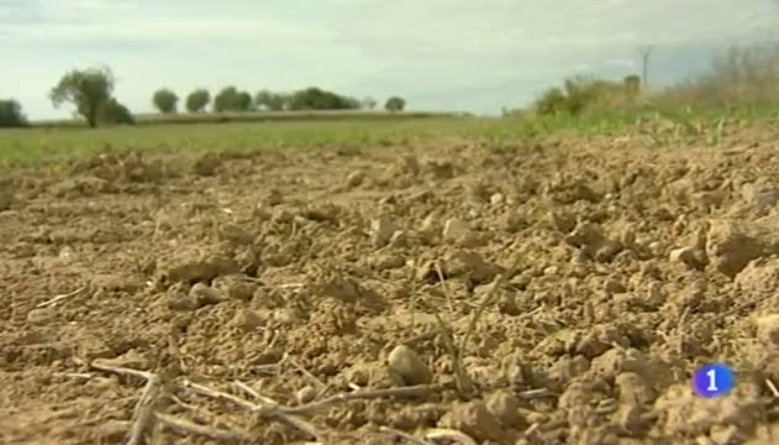 Noticias Aragón - 16/10/12 | Ver