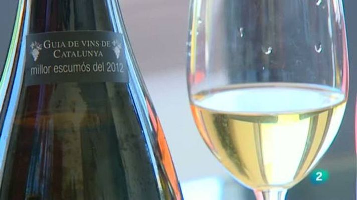 Continuarà... - Vins Argila