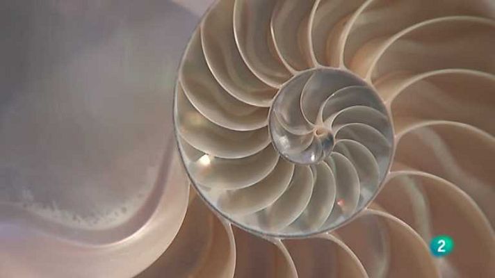 La aventura del Saber - La aventura del saber - 17/10/12