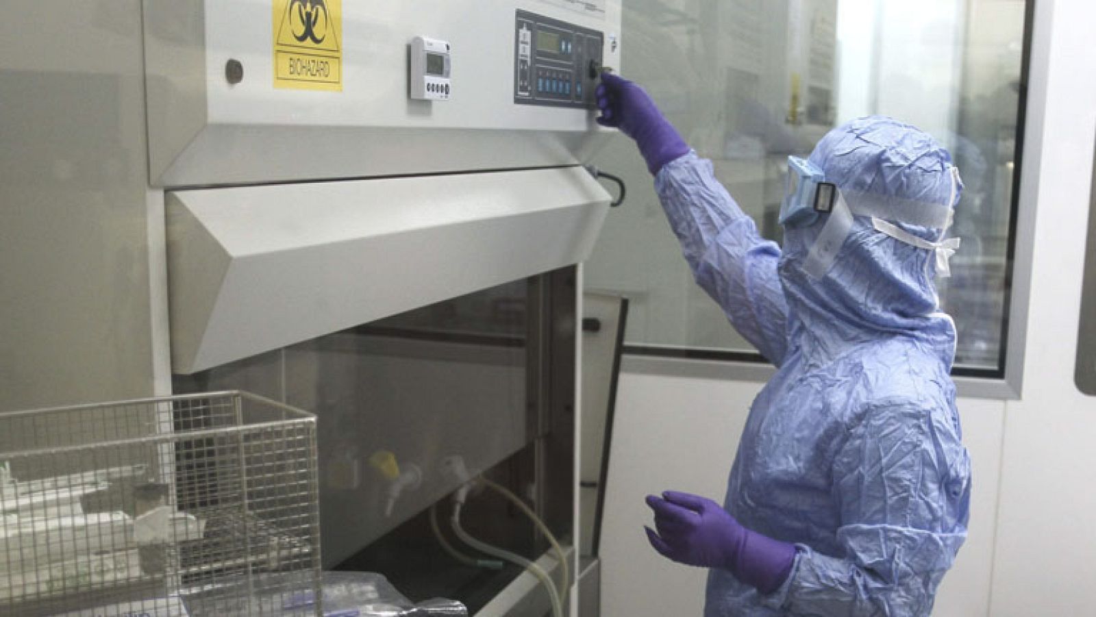 Las enfermedades de la sangre se pueden tratar con células madre