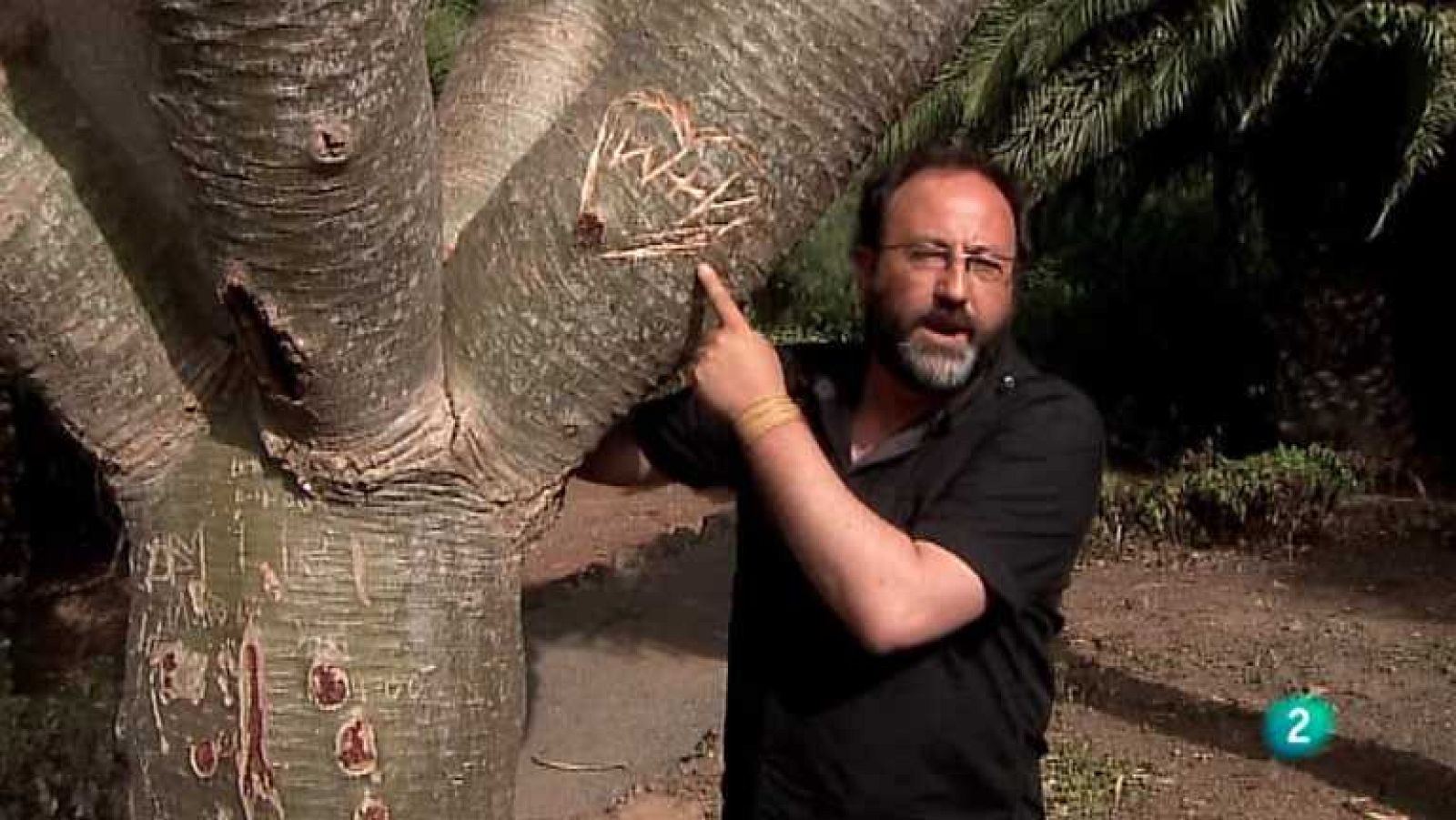 Biodiario - 17/10/12 - ver ahora