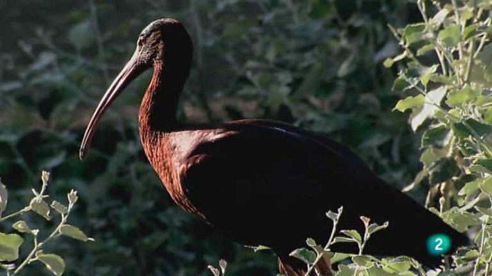 Biodiario - Biodiario - 18/10/12