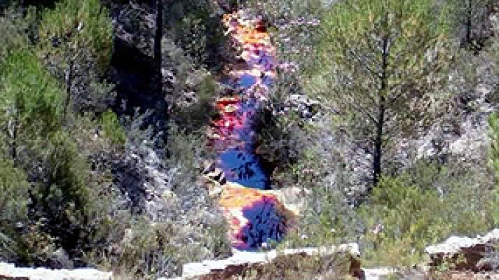 Universo UNED - Vida en ambientes extremos.