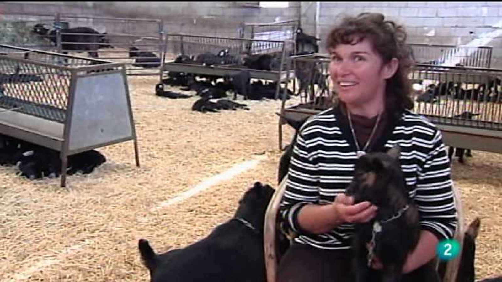 Agrosfera - 20/10/12 - ver ahora