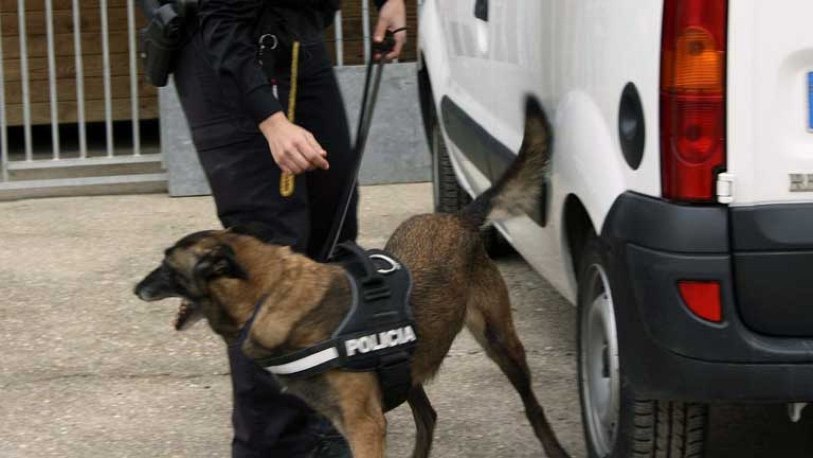 Los perros polícia protagonistas de la 'operación Emperador'