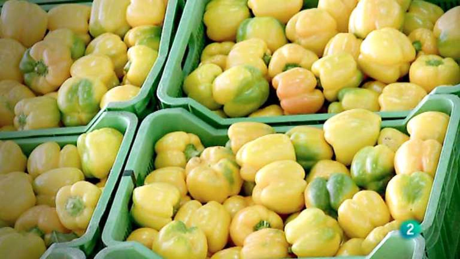 El exportador - 21/10/12 - Ver ahora