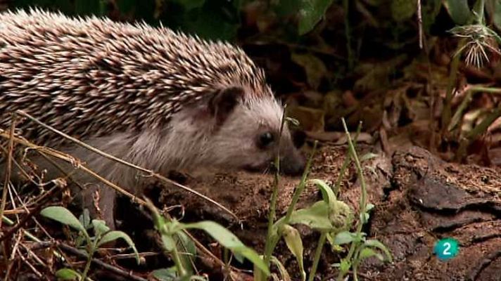 Biodiario - Biodiario - 21/10/12