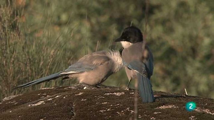 Biodiario - Biodiario - 22/10/12