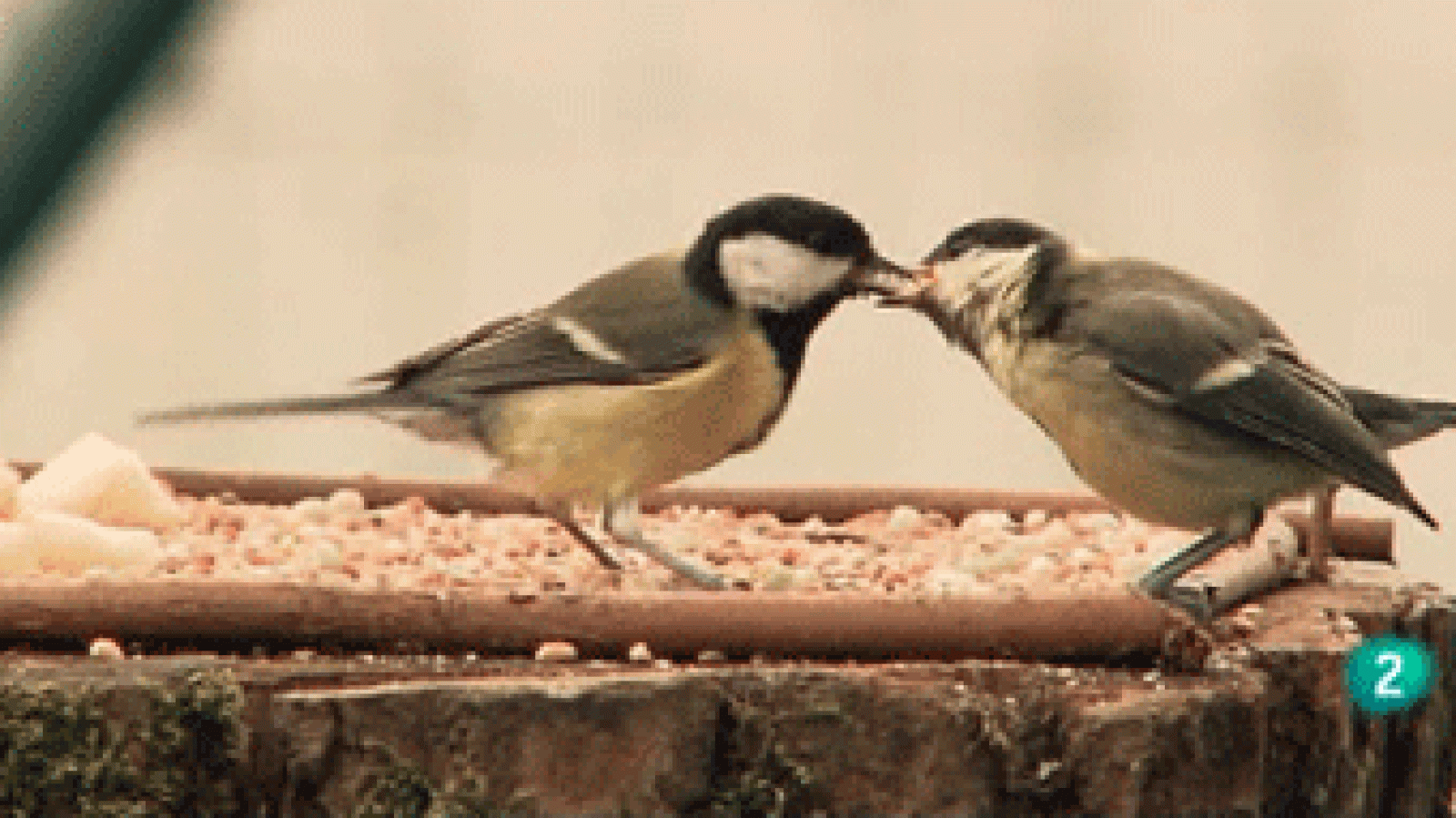 La Aventura del Saber. Jardines para la biodiversidad