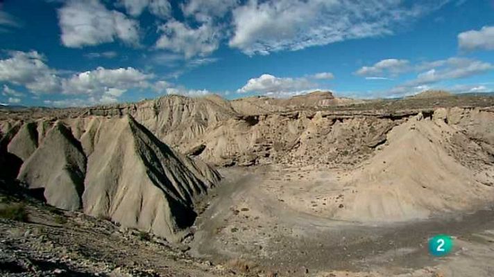 Biodiario - Biodiario - 23/10/12