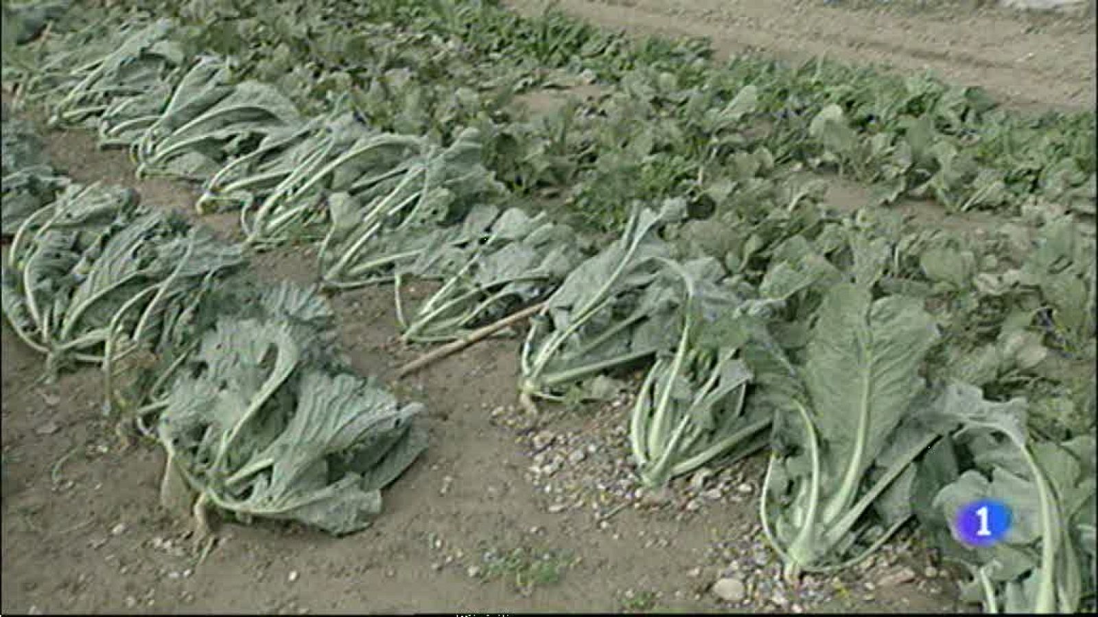 Noticias Aragón 2 - 23/10/12 | Ver