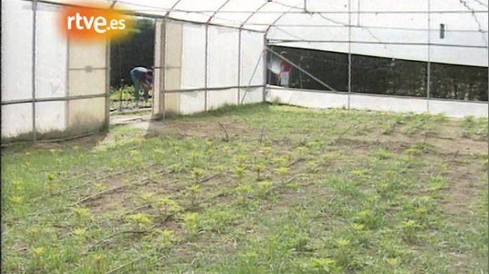 Pueblo de Dios - El principio del fin