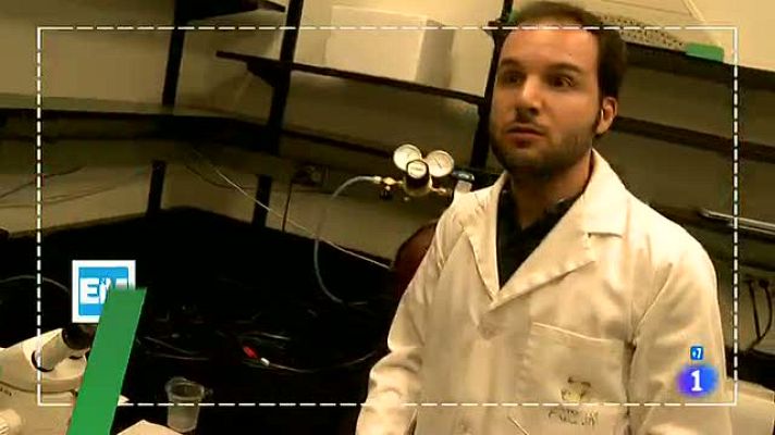 Españoles en el mundo - Calgary - Tomas falsas