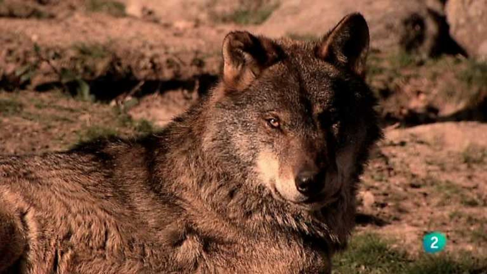 Biodiario - 24/10/12 - ver ahora