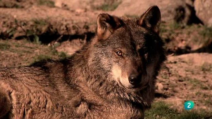 Biodiario - Biodiario - 24/10/12