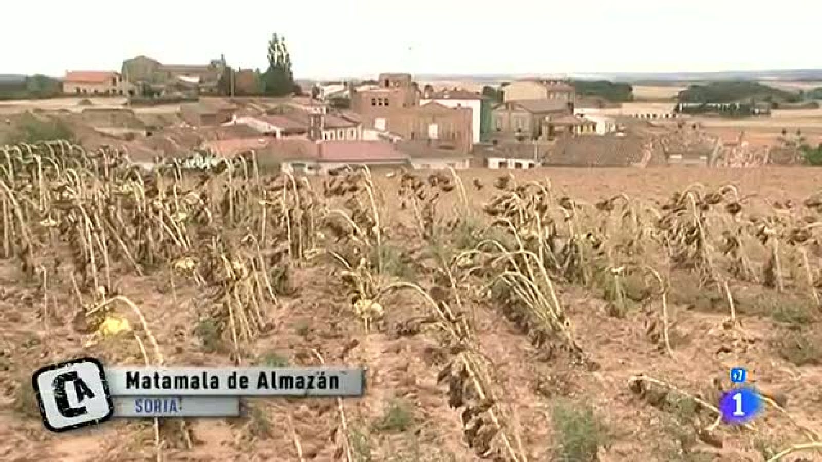 Comando Actualidad -  El pueblo me da de comer - De la ciudad al campo - Comando Actualidad | Ver