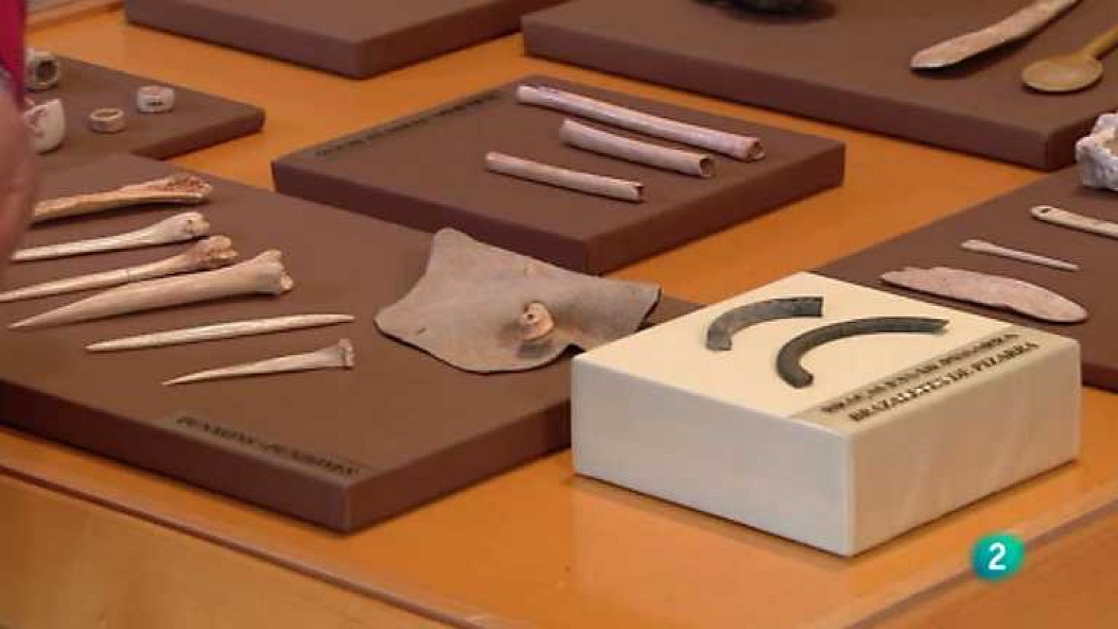 La aventura del saber - 25/10/12 - ver ahora