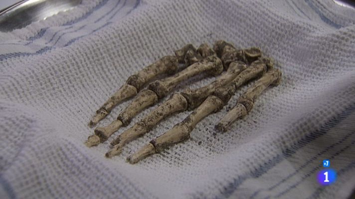 Amar en tiempos revueltos - Pelayo hará lo que sea por su bar