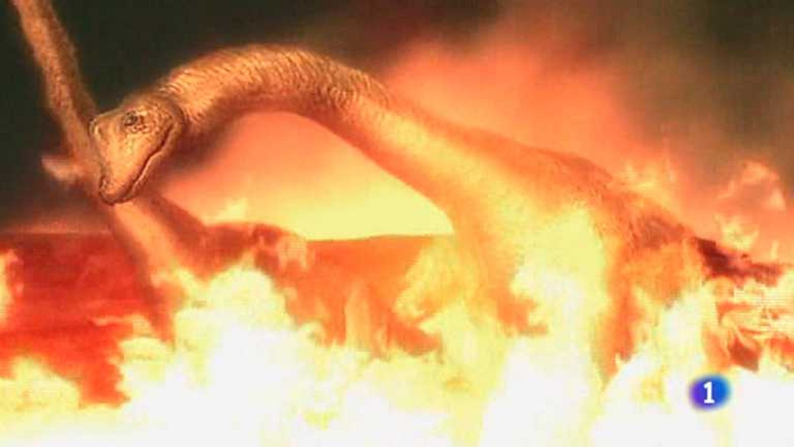 Docufilia - Armagedon animal: Pánico en el cielo - ver ahora