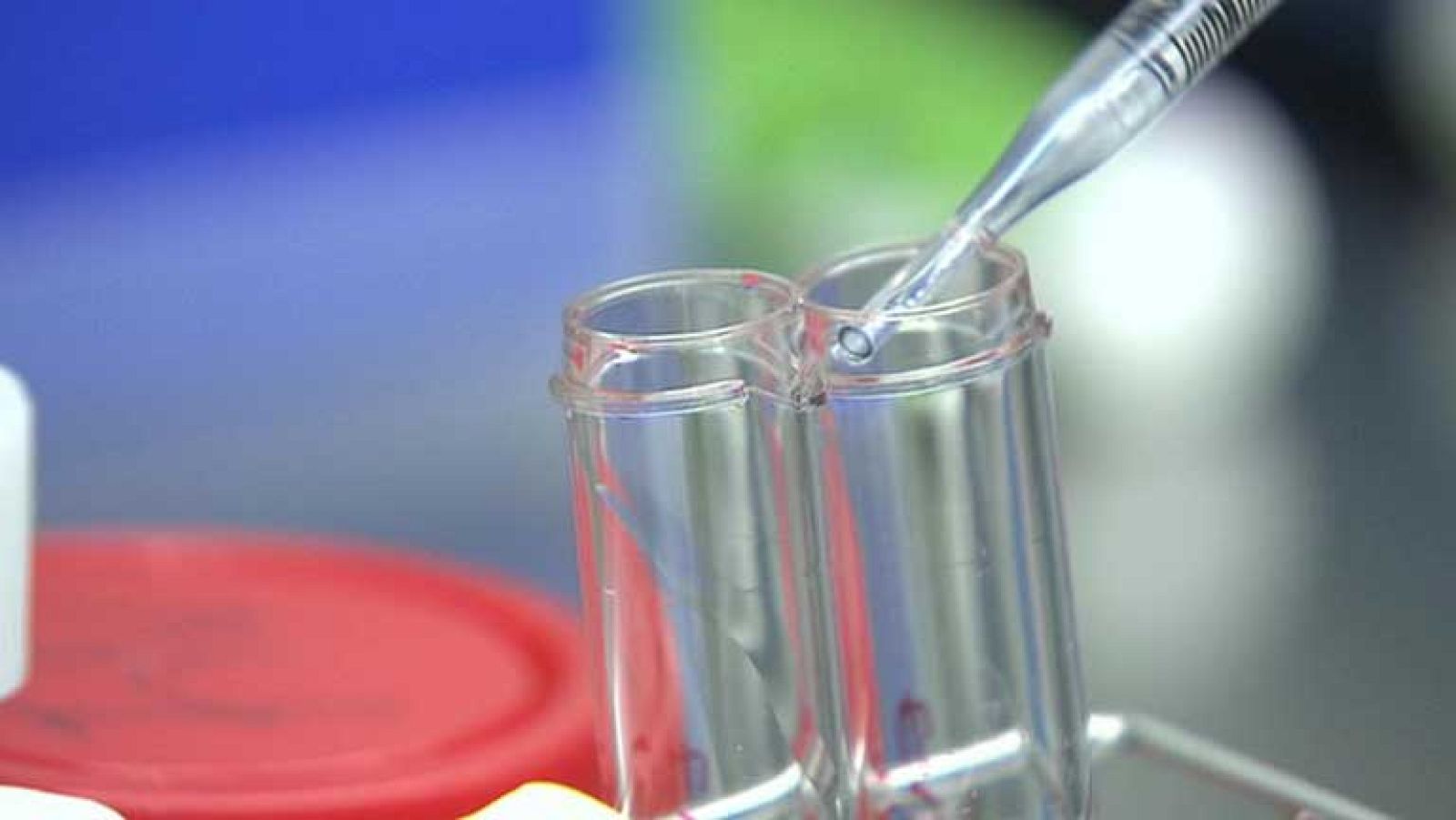 25.000 embriones congelados acumulados en el limbo legislativo