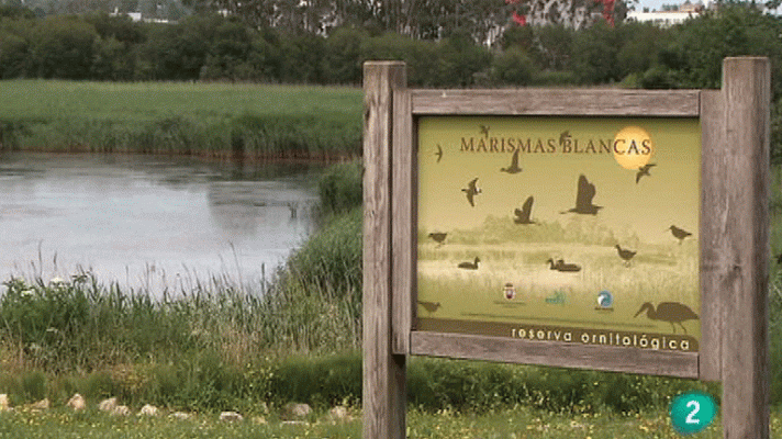 La aventura del Saber - Marismas blancas