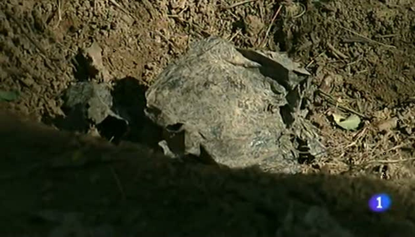 Noticias Aragón 2 - 29/10/12 | Ver