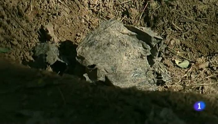 Noticias Aragón - Noticias Aragón 2 - 29/10/12