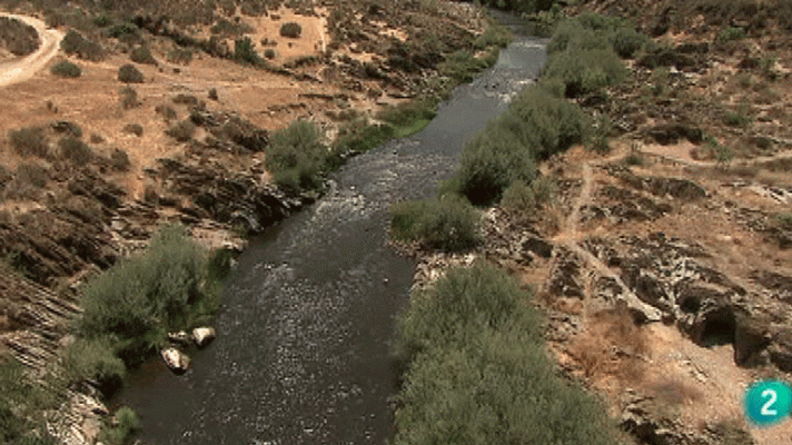 La aventura del Saber - Yacimiento de Siega Verde