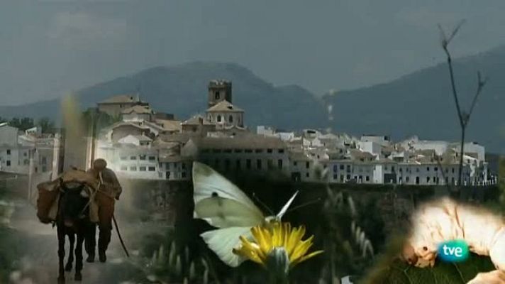 Documentales culturales - Priego a través de las mariposas