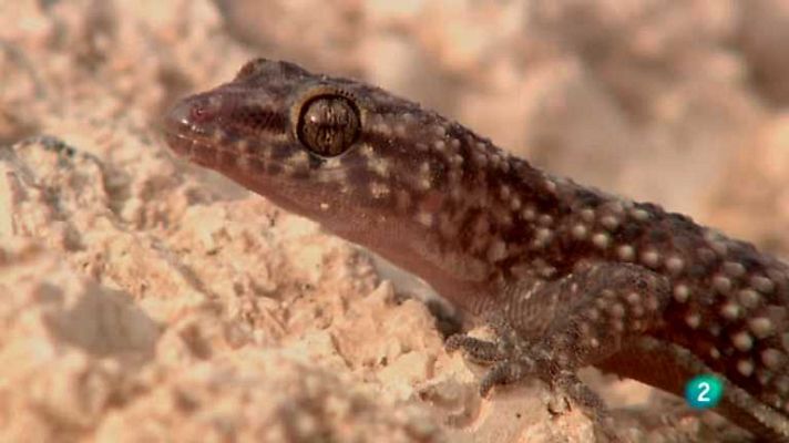 Biodiario - Biodiario - 01/11/12