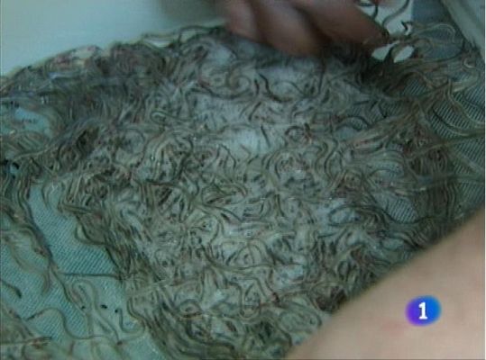 Panorama Regional - Panorama Regional 2 - 02/11/12