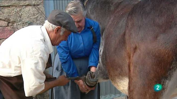 Agrosfera - Agrosfera - 03/11/12